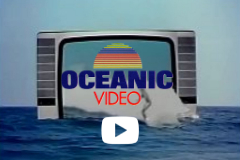 Cliquez ici pour visualiser la pub Tv Oceanic Equinoxe de 1986